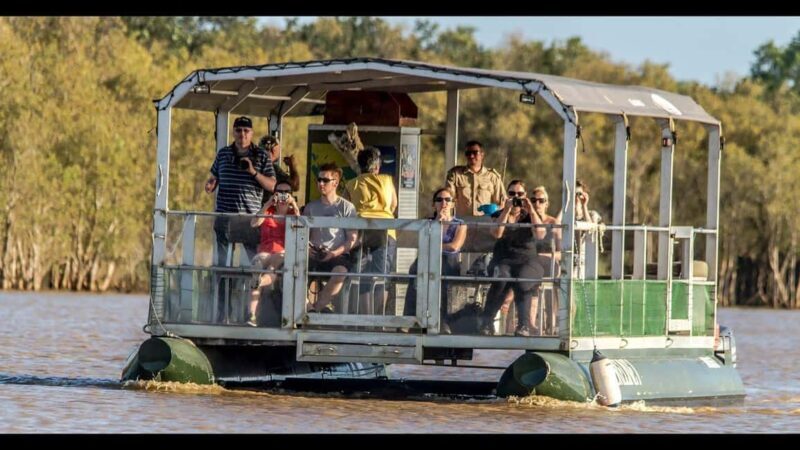 From Durban: Isimangaliso HalfDay Hippo and Croc Boat Cruise - An Overview of What to Expect