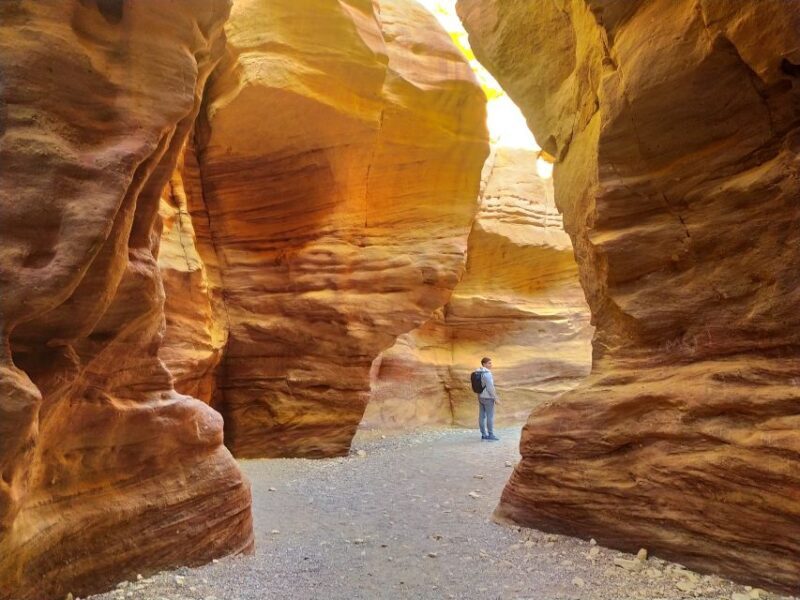 From Eilat: Red Canyon Guided Tour - Eilat’s Red Canyon Guided Tour: A Detailed Review