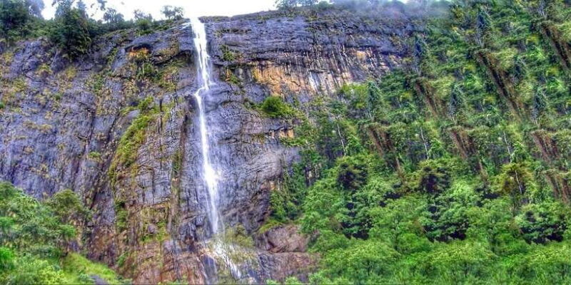 From Ella: Diyaluma Falls Full-Day Tour with Lunch - A Deep Dive into the Diyaluma Falls Experience