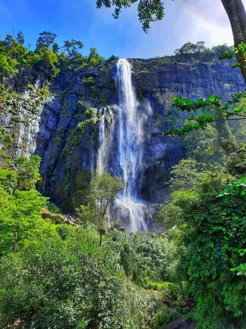 From Ella: Diyaluma Waterfall and Natural Pool Bath Tour - Who Should Consider This Tour?
