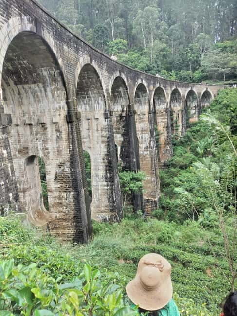 From Ella: Ella Unfogettable Day tour & Train Ride Tour - Key Points
