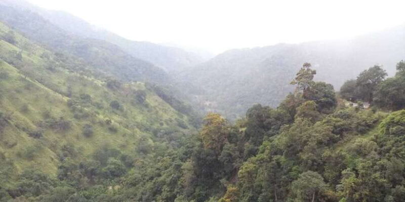 From Ella: Little Adams Peak and Nine Arches Bridge Hiking - The Verdict: Is This Tour Worth It?