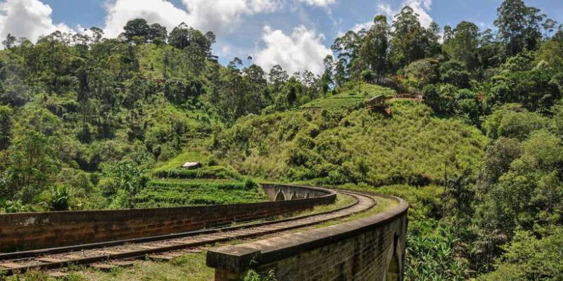 From Ella: Little Adams Peak and Nine Arches Bridge Hiking - Who Will Love This Tour?