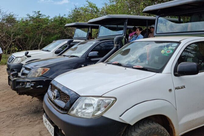 From Ella: Private Yala Safari & Transfer/Tangalle/Mirissa/Galla - Who Should Consider This Tour?