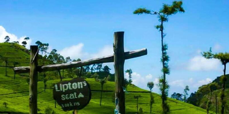 From Ella: Tuk-Tuk Tea Adventure: Lipton's Seat Excursion! - An In-Depth Look at the Lipton’s Seat Tuk-Tuk Tour