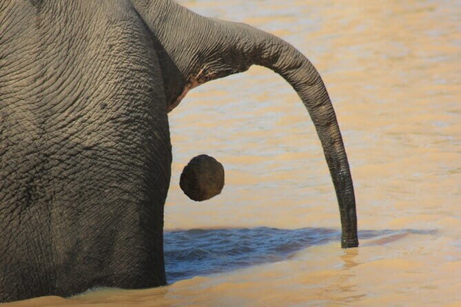 From: Ella - YALA Safari - Drop off: Arugam Bay / Arugambay - Key Points