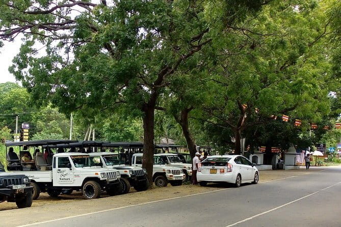 From: Ella - YALA Safari - Drop off: Arugam Bay / Arugambay - FAQ