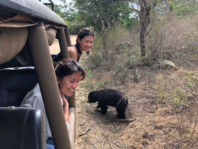 From Ella: Yala Safari Tour with Drop at Tangalle/Hiriketiya - The Safari Itinerary and Timing