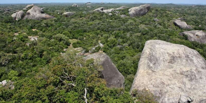 From Ella:Ravana Falls / Diyaluma Falls / Yala National Park - The Practical Side