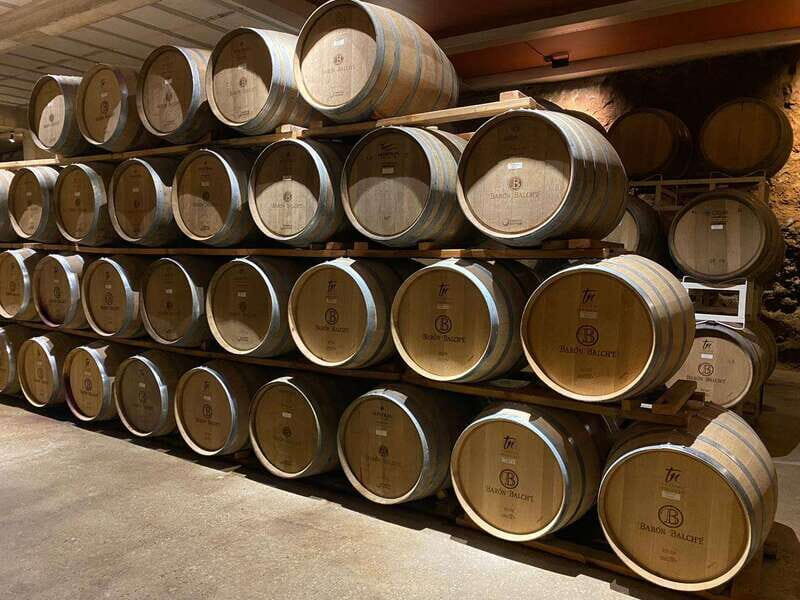 From Ensenada: Wine Tour at Guadalupe Valley Ensenada - Key Points
