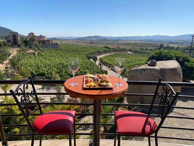 From Ensenada: Wine Tour at Guadalupe Valley Ensenada - Final Thoughts