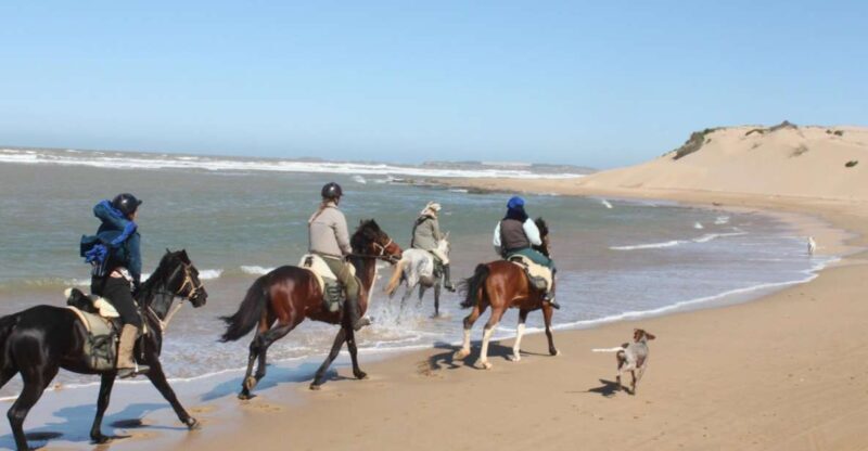 From Essaouira: 1-Hour Horse Ride - An In-Depth Look at the Horseback Ride Experience