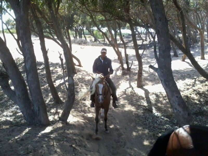 From Essaouira: 1-Hour Horse Ride - FAQ