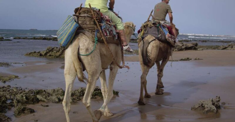 From Essaouira: Camel Tour with Overnight Stay in a tent - The Value of the Tour