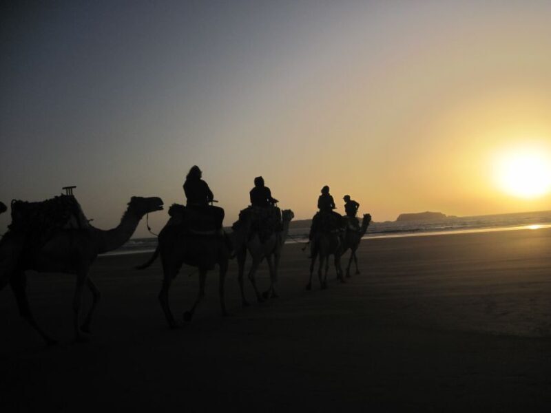 From Essaouira: Camel Tour with Overnight Stay in a tent - Who Will Love This Experience?