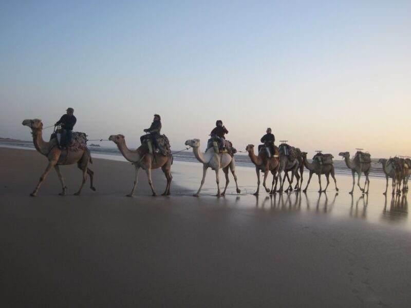 From Essaouira: Camel Tour with Overnight Stay in a tent - The Sum Up