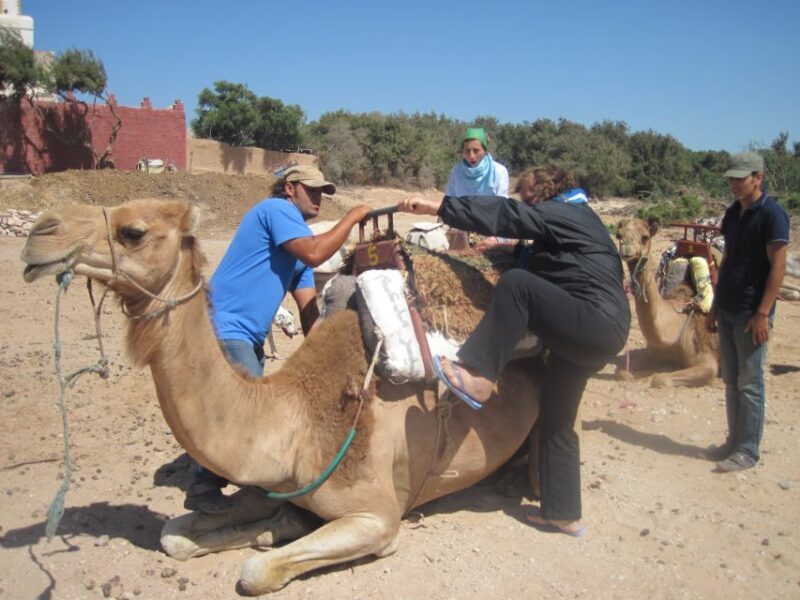 From Essaouira: Camel Tour with Overnight Stay in a tent - FAQ