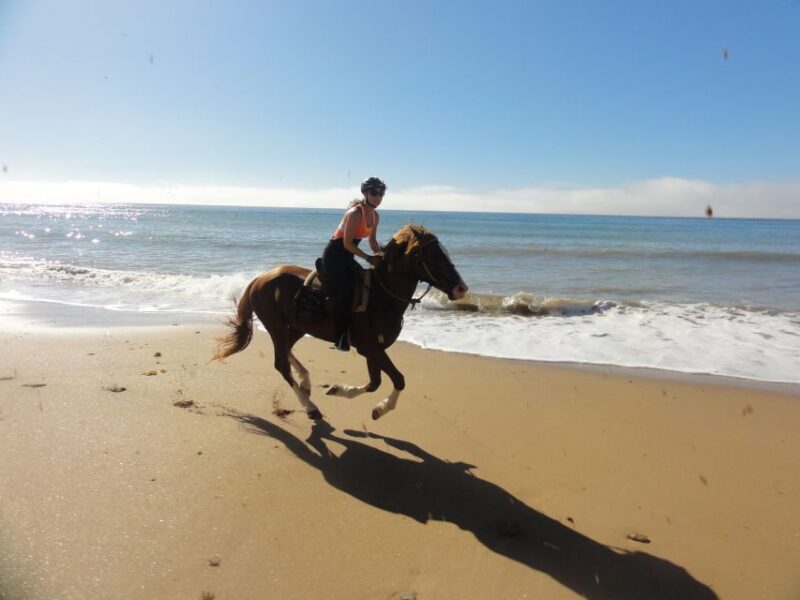 From Essaouira: Horseback Tour with Overnight Berber Camp - The Berber Camp Experience