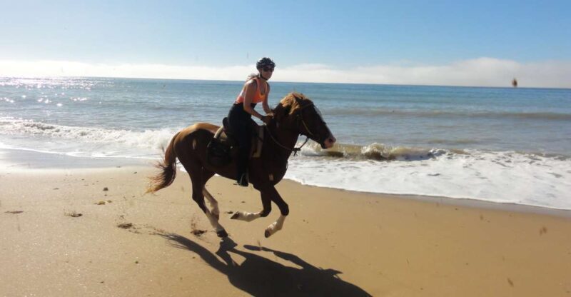 From Essaouira: Horseback Tour with Overnight Berber Camp - Practical Details and Value