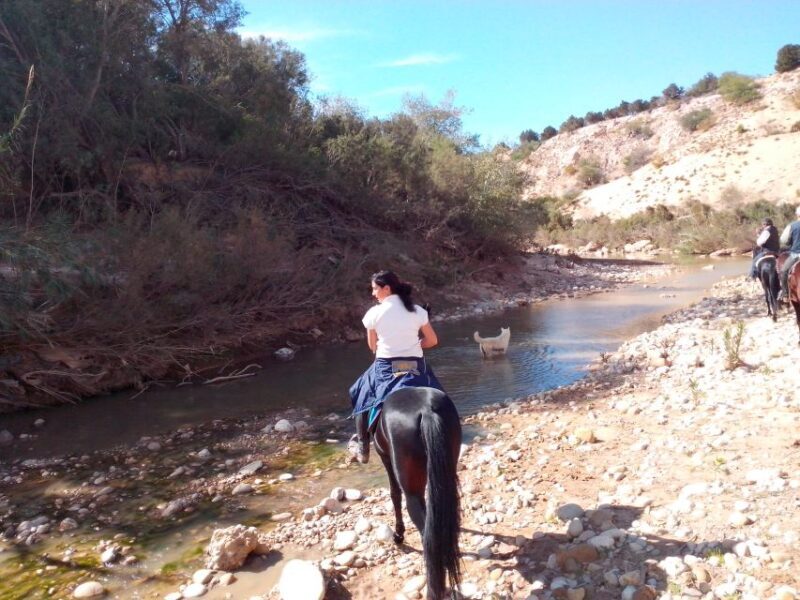 From Essaouira: Horseback Tour with Overnight Berber Camp - The Booking and Flexibility