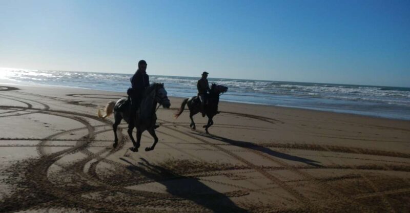 From Essaouira: Scenic Diabat Horseback Ride with Transfer - What to Expect from Your Horseback Ride near Diabat