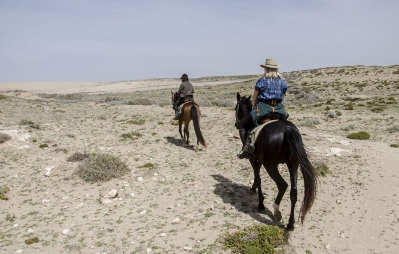 From Essaouira: Scenic Diabat Horseback Ride with Transfer - Who Should Consider This Ride?