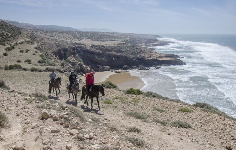From Essaouira: Scenic Diabat Horseback Ride with Transfer - The Sum Up: Why This Horseback Ride Is a Great Choice