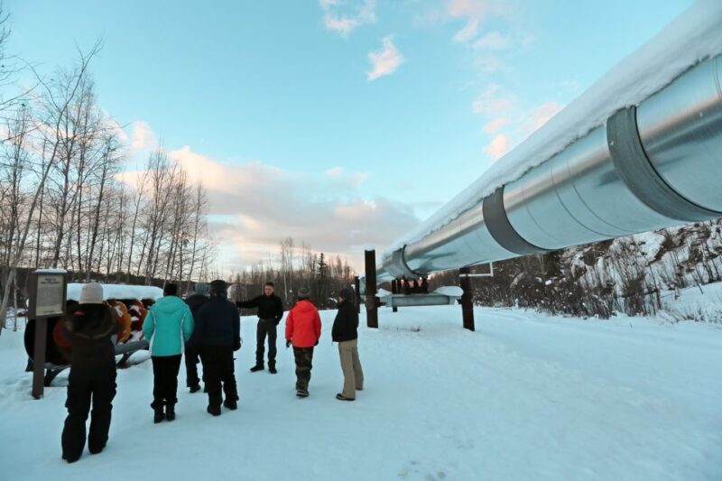 From Fairbanks: Arctic Circle Northern Lights Full-Day Trip - FAQs