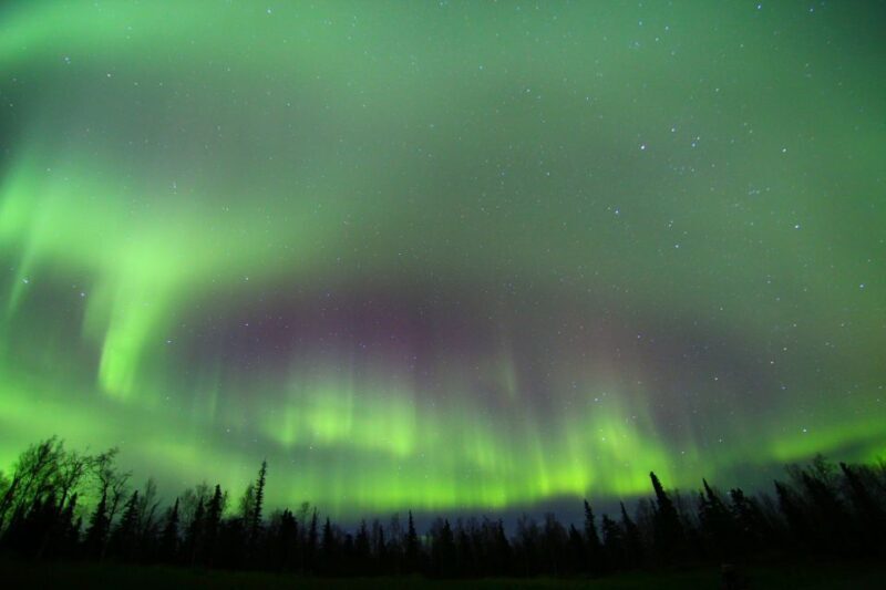 From Fairbanks: Northern Lights & Murphy Dome Tour - Key Points