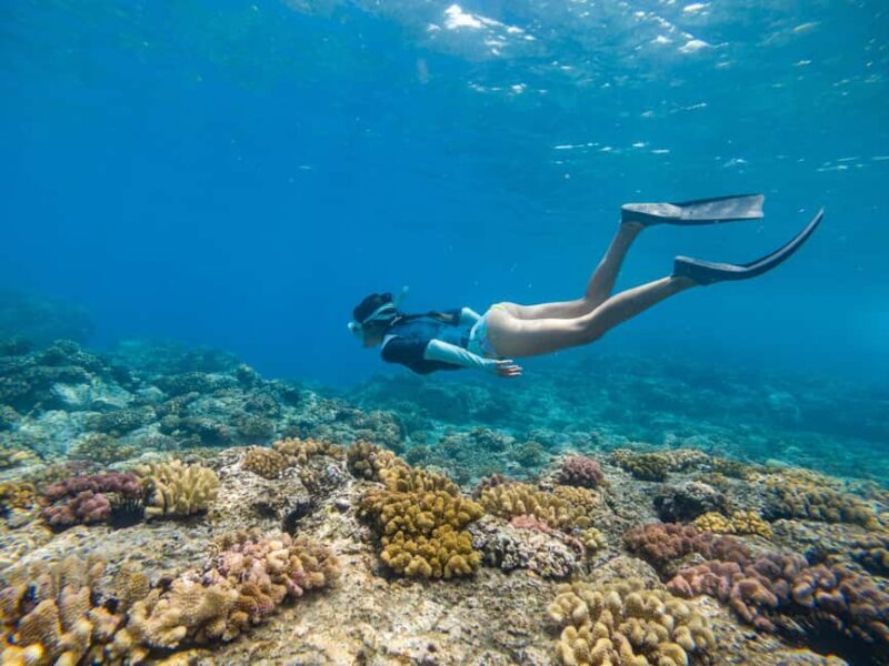From Fajardo: Boat and Snorkeling in Culebra Island with All-Inclusive - The Itinerary Breakdown: What to Expect