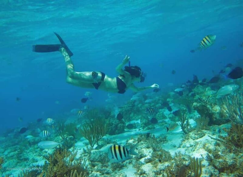 From Fajardo: Boat and Snorkeling in Culebra Island with All-Inclusive - Authentic Traveler Feedback