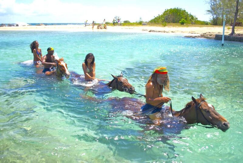 From Falmouth: Horseback Ride and Swim Beach Trip - The Itinerary: What Makes the Experience Unique
