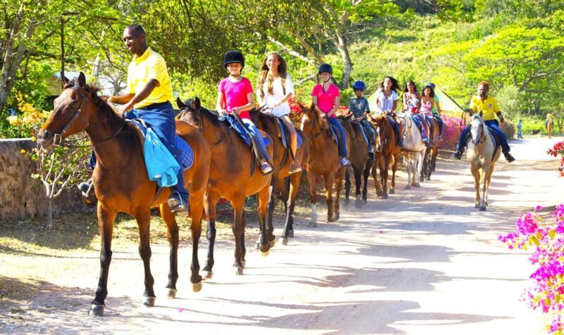 From Falmouth: Horseback Ride and Swim Beach Trip - Who Will Love This Tour?