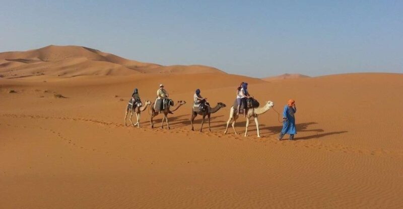 From Fes: 2-Day Desert Tour with Return to Fes or Marrakech - Key Points