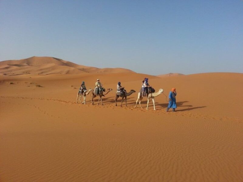 From Fes: 2-Day Desert Tour with Return to Fes or Marrakech - Pros and Cons Based on Reviews