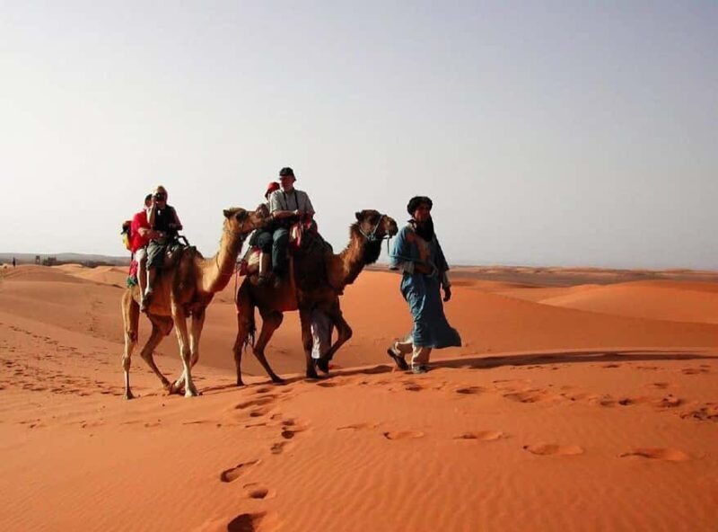 From Fes: 2-Day Luxury Desert Tour to Marrakech & Back Fez - FAQs