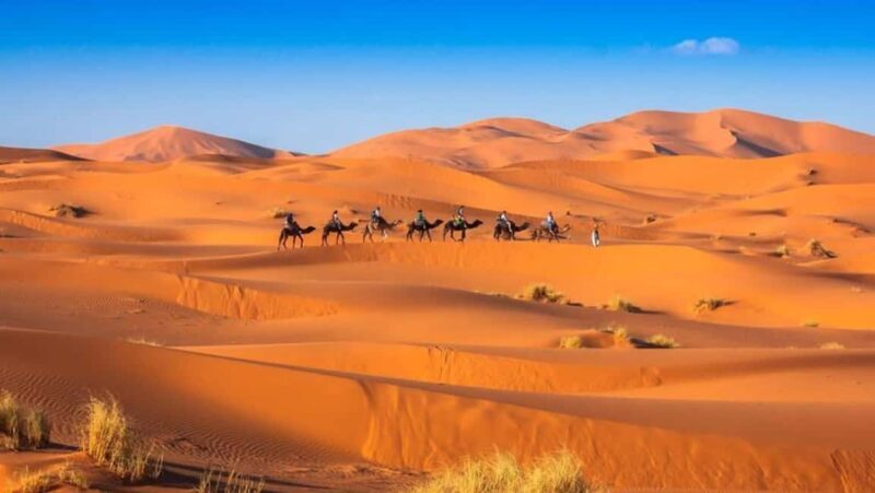 From Fes: 2-Day Merzouga Desert Trip w/Luxury Tent & Dinner - Who Should Consider This Tour?