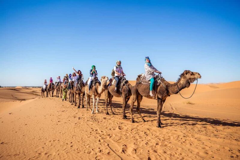 From Fes: 2-Day Merzouga Desert Trip(Luxury Tent & Dinner) - The Dunes of Merzouga and Camel Trekking