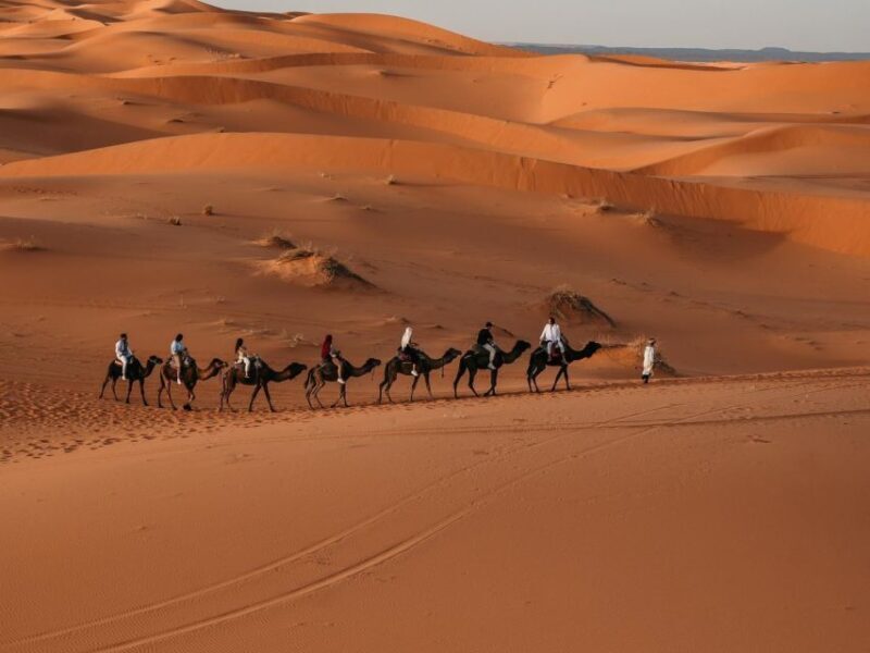 From Fes: 2-Day Sahara Tour with Private Tent & Meals - Final Thoughts