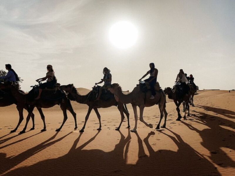 From Fes: 2 Day Trip to Marrakech via the Desert& Camel Trek - Key Points