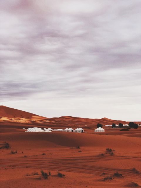 From Fes: 2 Days Sahara Tour With Camel Ride& Sandboarding - Final Thoughts