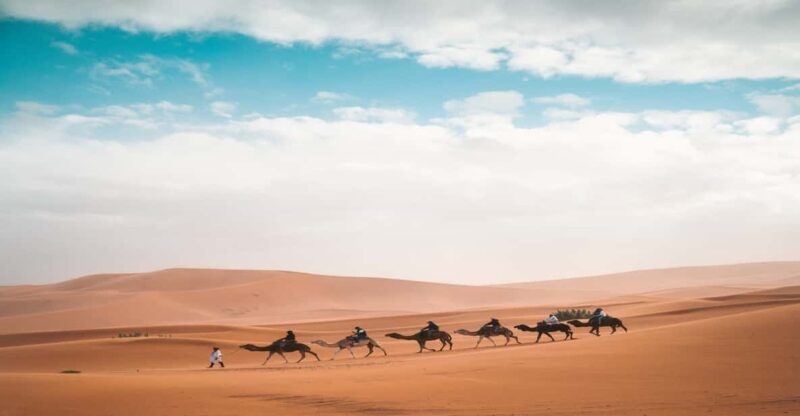 From Fes: 3-Day 2-Night Desert Tour to Marrakech - Key Points
