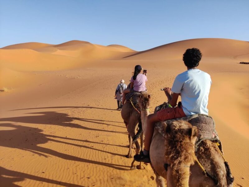From Fes: 3 Day Magical Desert Camel Trek To Marrakech - A Journey Through Morocco’s Diverse Landscapes
