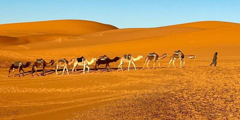 From Fes: 3-Day Merzouga Tour with Camel Ride & luxury camp - Who is This Tour Best For?