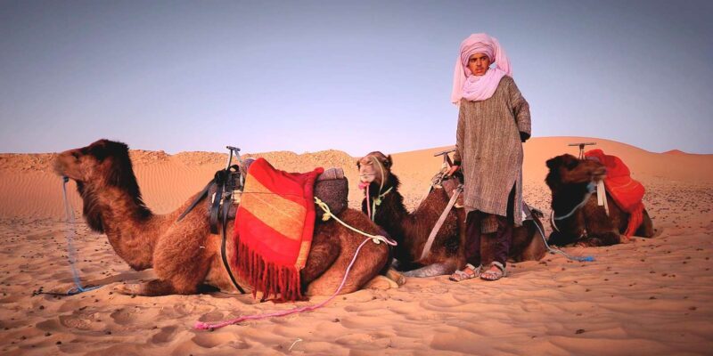 From Fes: 3-Day Trip to Marrakech through Merzouga Desert - Price and Value