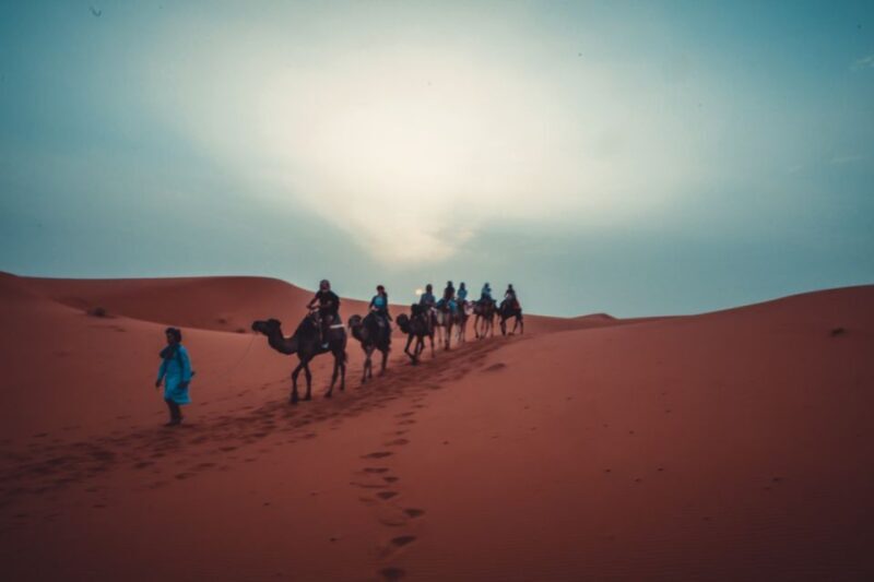 From Fes: 3 Days and 2 Nights Desert Trip to Marrakech - Exploring Morocco’s Film Heritage and Cultural Gems