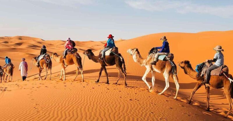 From Fes: 4-Day Desert Tour to Marrakech - Key Points