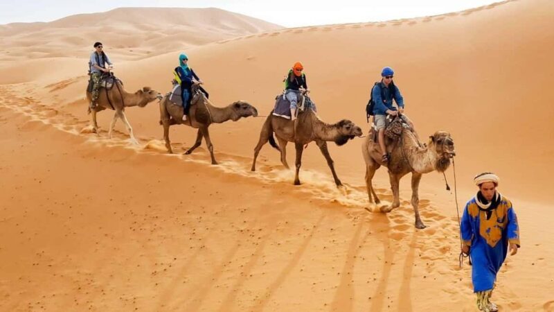 From Fes : 4-Days Desert Merzouga Tour To Marrakech - Final Thoughts — Who Will Love This Tour?