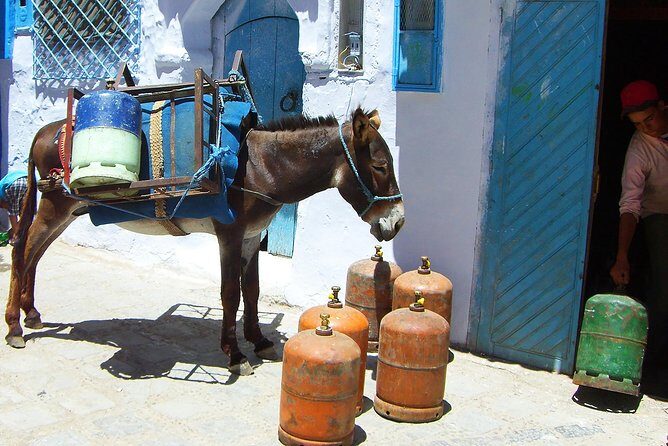 From Fes : Chefchaouen Day trip with small Group - FAQ
