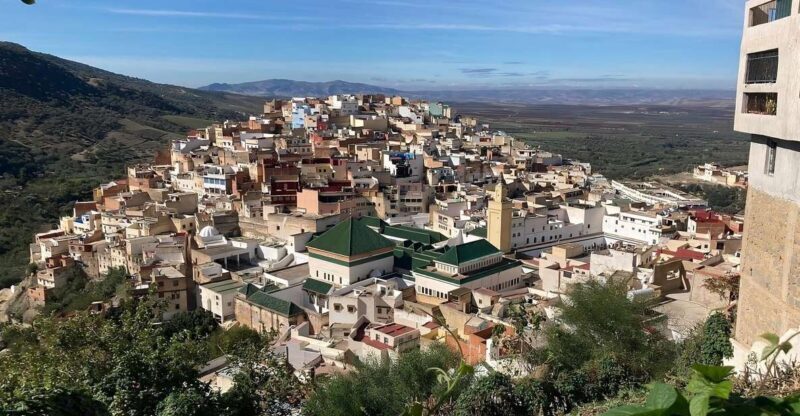 From Fes: Day Trip to Meknes, Volubilis, Moulay Idriss - The Experience: What You Will Love
